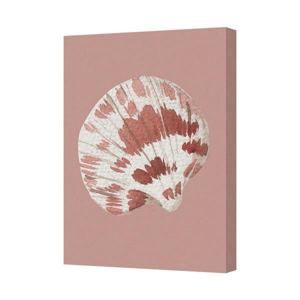 Benjamin Tate Design Seashell Art Canvas Wall Decor On Blush Pink Backdrop