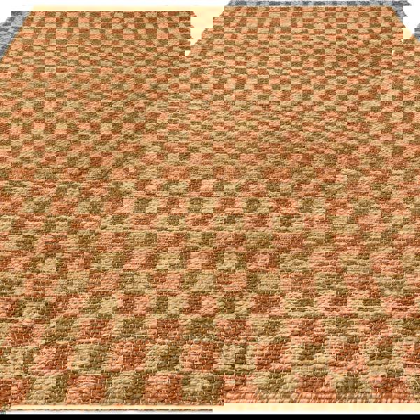 Asiatic Naturi Rust Jute Rug