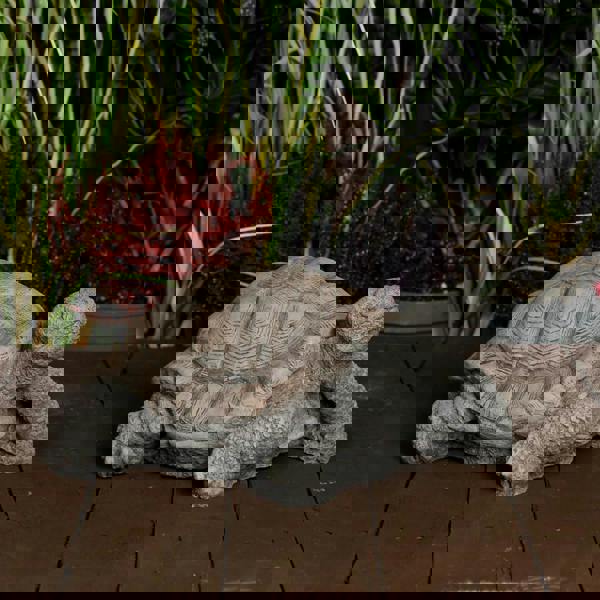 Medium Stone Cast Tortoise Garden Ornament 