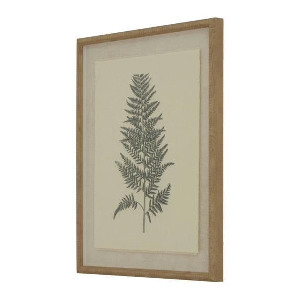 Hill Interiors Flora & Fauna Collection Beech Fern Linen Framed Wall Art - White/Black/Brown - 