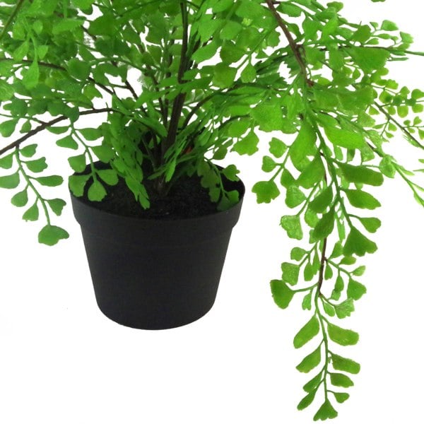 Leaf 35cm Artificial Potted Fern Plant (Southern Maidenhair Fern)