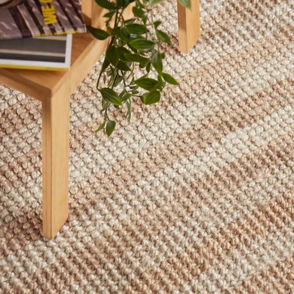 Close-up of a textured beige carpet with a plant and wooden furniture.