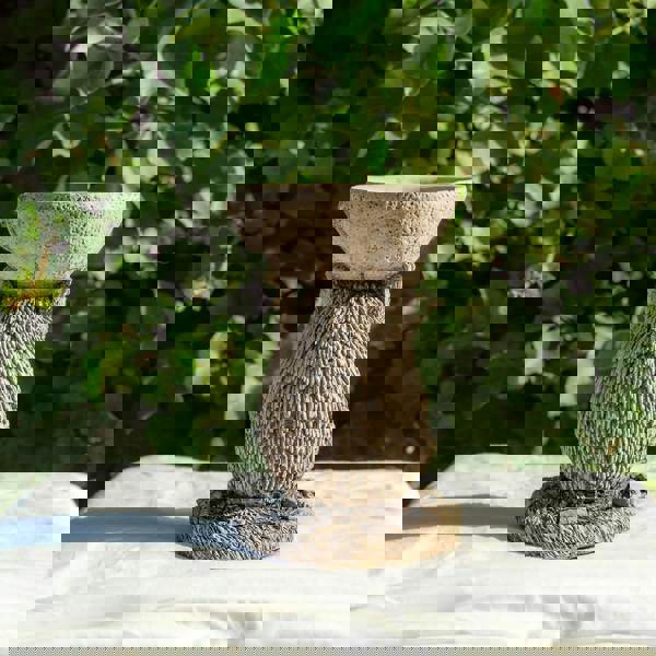 Small Adorable Hedgehog Design Stonecast Bird Bath