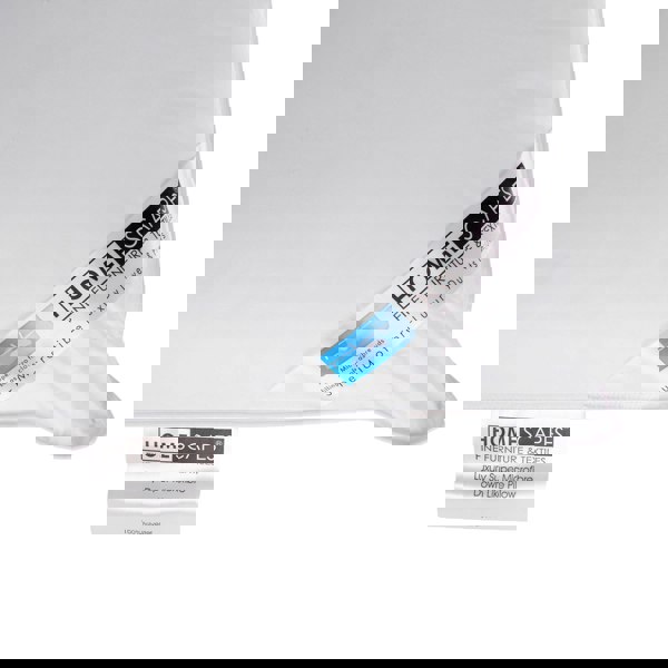 HOMESCAPES Kids Super Microfibre 40 x 60 cm Toddler Pillow