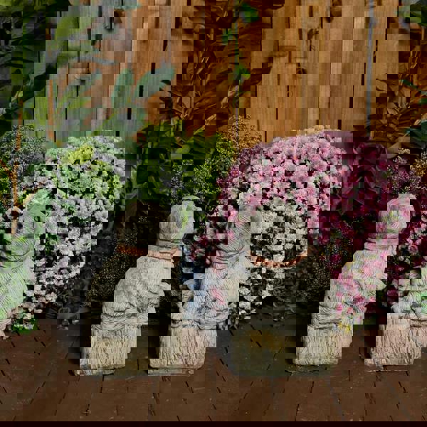 Cranky Cats Pair Stone Cast Garden Cat Statues Set