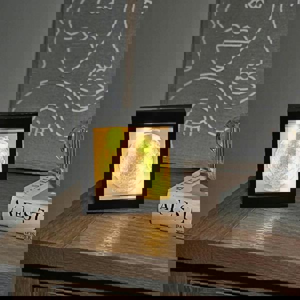  ReallyRecycle Backlit Memento Tile in Frame