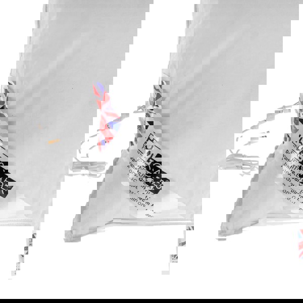 HOMESCAPES Duck Feather Music Pillow With Speaker