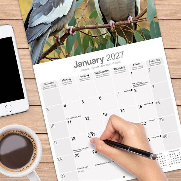 Cockatiels Calendar 2027, Wall Calendars, Month To View, Animals, Gift
