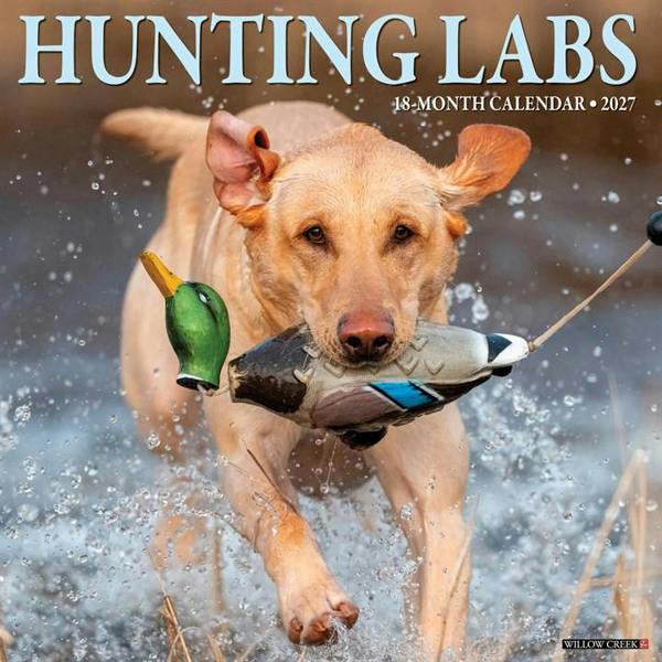Hunting Labs Calendar 2027, Wall Calendars, Month To View, Dogs, Gift