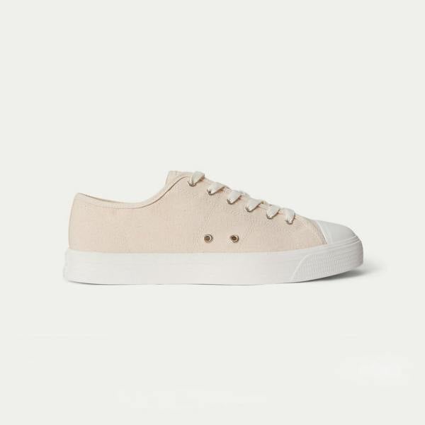 Polo Ralph Lauren AYERS LOW Canvas Trainers   in  Light Brown