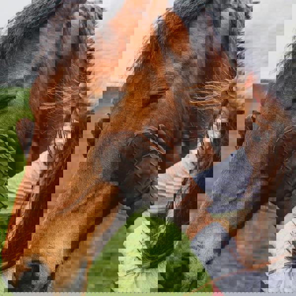 Nordvek Womens Sheepskin Mittens