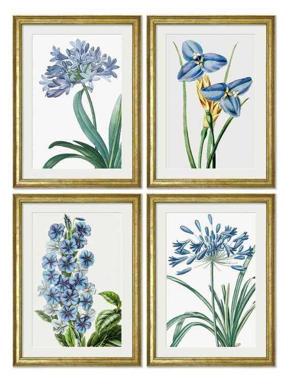 Exceptional Art Blue Floral Illustrations Set of 4 Prints - Gold Slim - Collection of 4