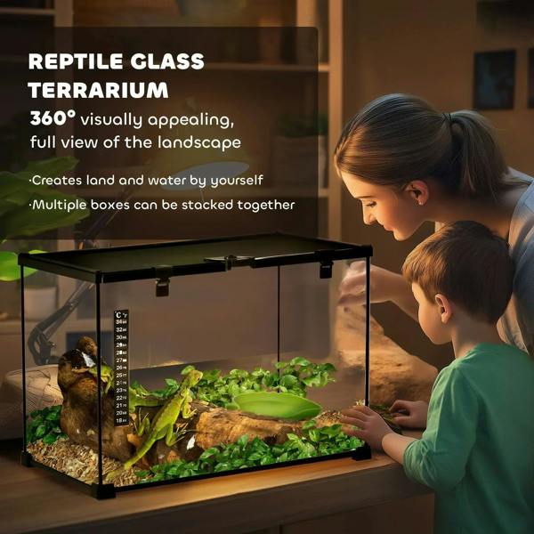Large black framed glass terrarium with leaf-shaped green water basin and thermometer
