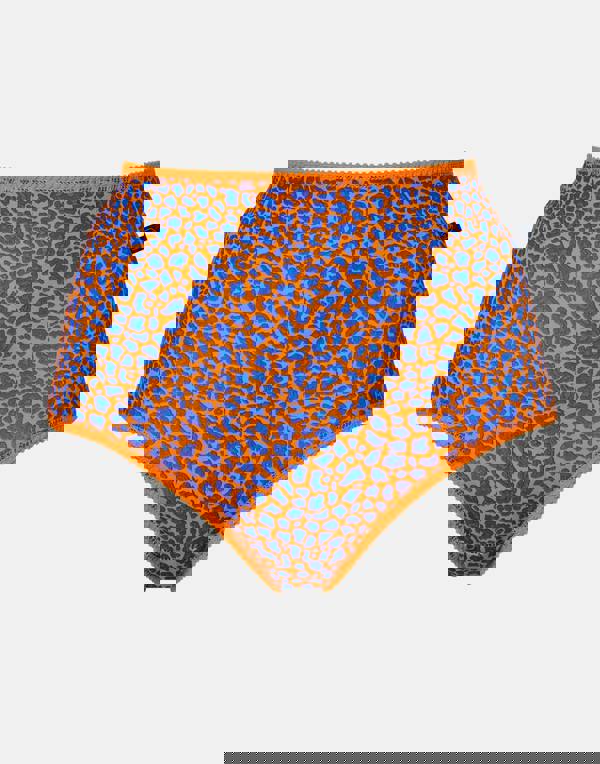 British Boxers Multipack 4 Pairs of Women's Bamboo Full Briefs – Wild Cat