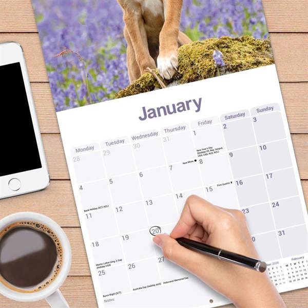 Lurcher Calendar 2027, Wall Calendars, Month To View, Dogs, Gift