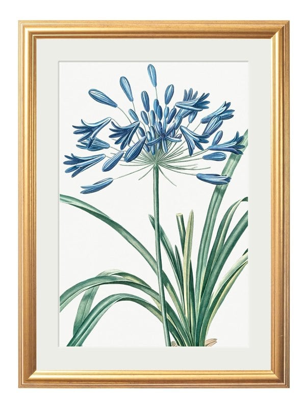 Exceptional Art Blue Floral Illustrations Set of 4 Prints