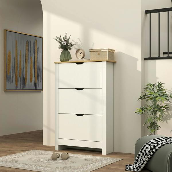 Flip-down Shoe Cabinet