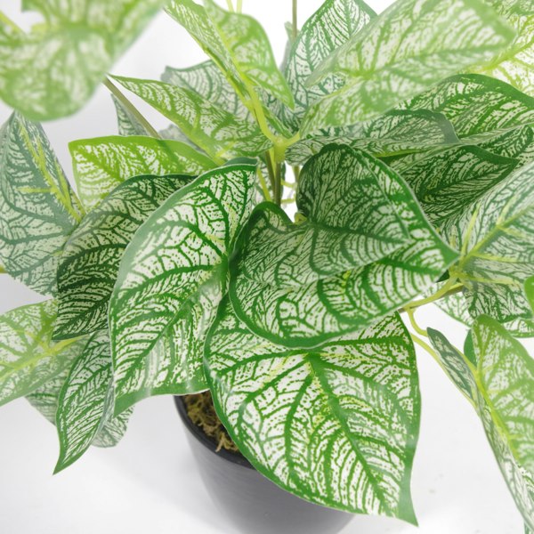 Leaf 40cm Artificial Caladium Plant with pot