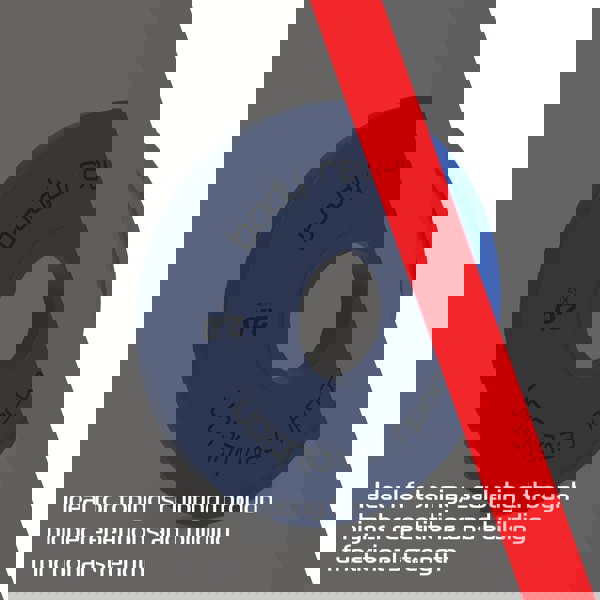 Body Revolution 2 x 2kg Fractional Bumper Plates