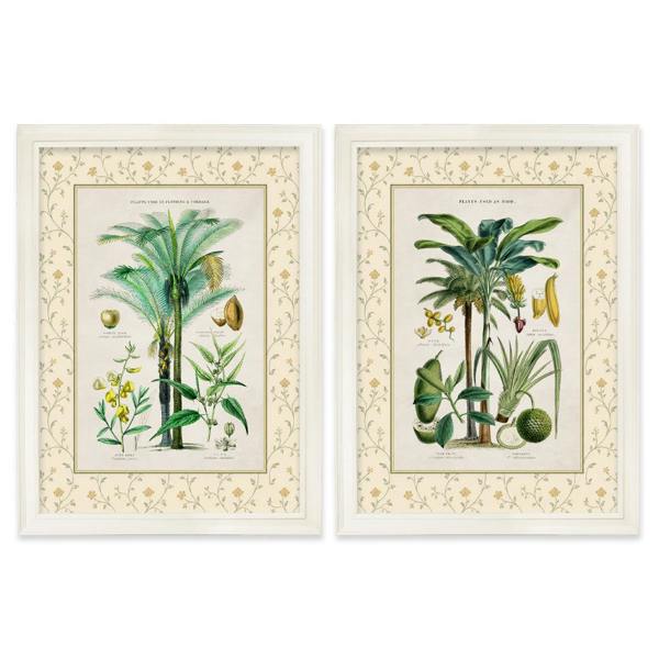 Exceptional Art c.1877 Plants Used as Food and Clothing with Floral Mount - Cream Hurstwood Frame