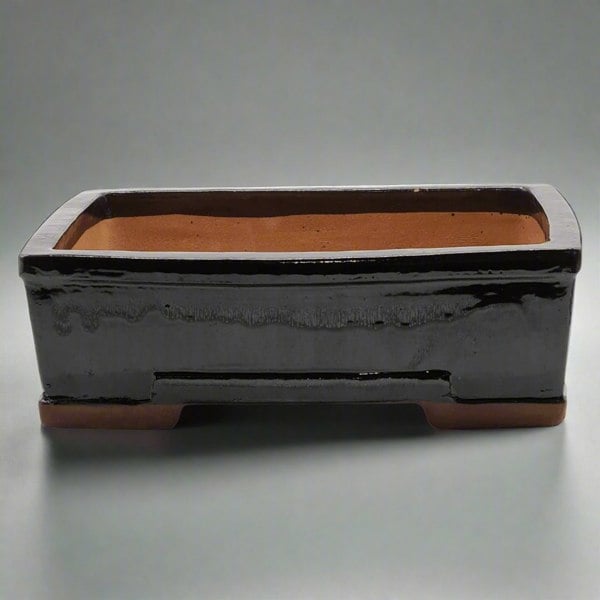 26cm Glazed Bonsai Pot | Rectangle | 26cm x 20cm x 9cm | Black - Yorkshire Bonsai