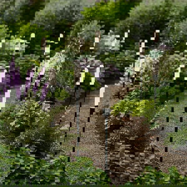 black landscape spike light installed in boarders along a pathway