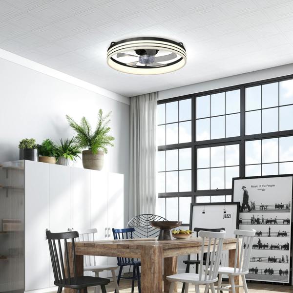 Ceiling Fan With Light