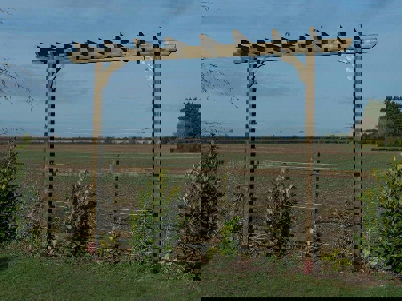 Arbor Garden Solutions Chamfered Single Beam Pergola, Plant Climbing Arbour - Sculpted brace