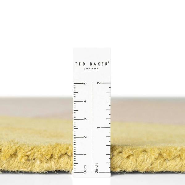 Ted Baker Westminster Wool Savile Cream Multicolour Rug