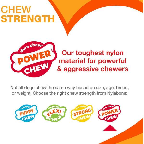 Nylabone Dura Chew Extreme Chew Bone Twin Pack Bacon & Chicken Flavour For Medium Dogs
