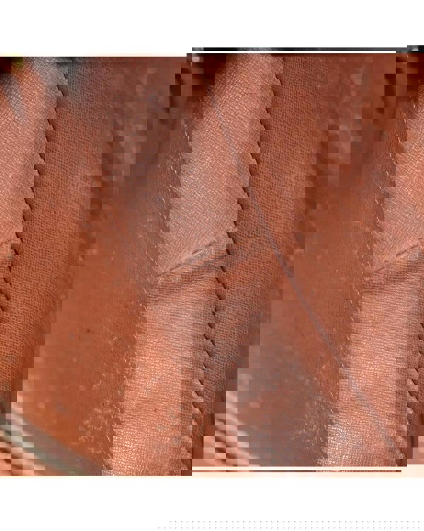 193989697.jpg