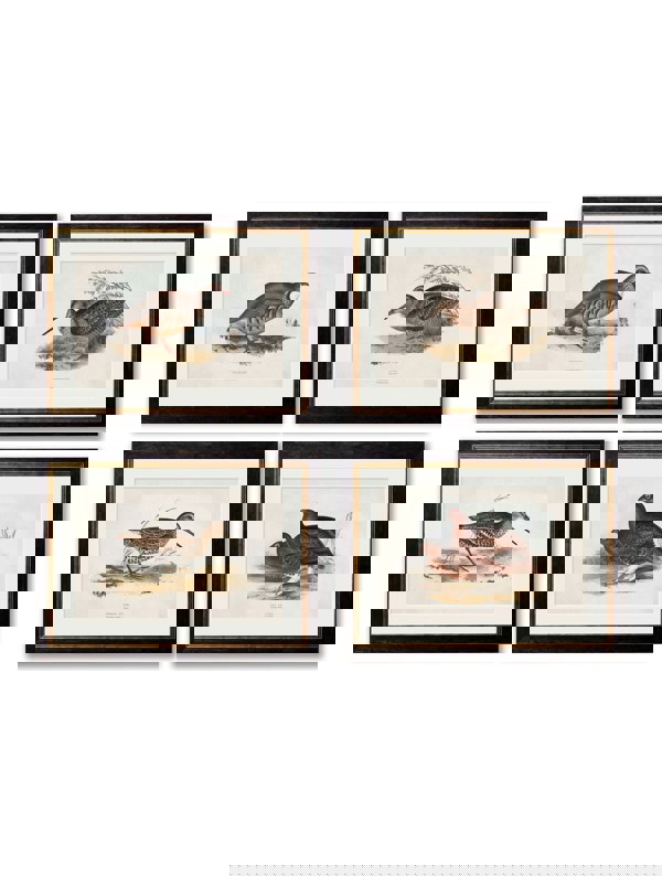 Exceptional Art c.1837's British Game Birds