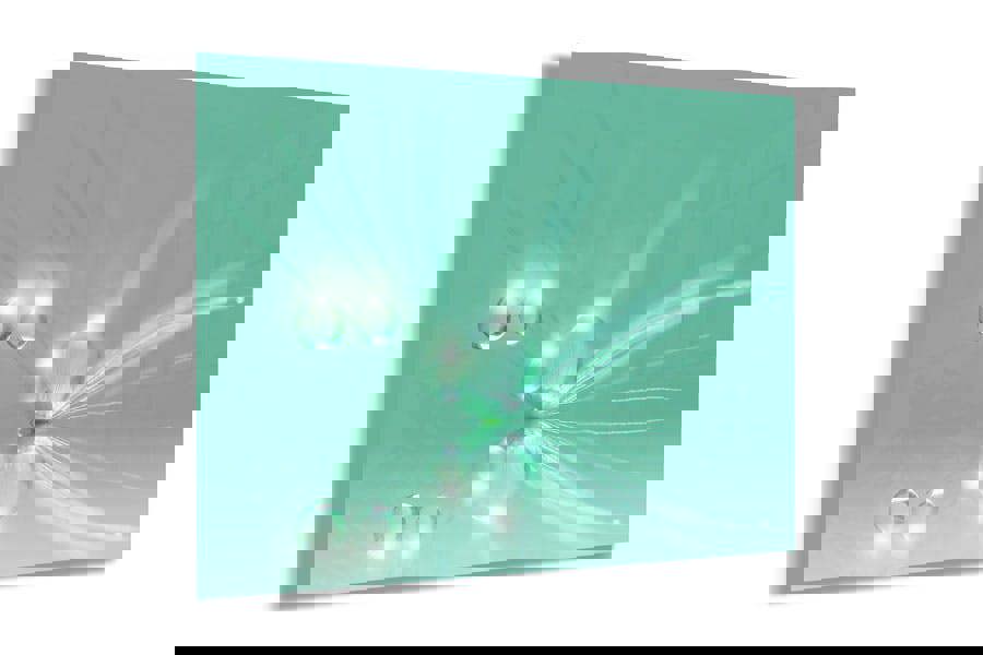 macro photography print