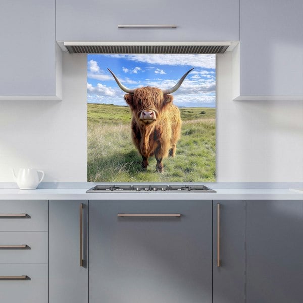 Warren Reed - Designer Highland Cow In Summer Kitchen Splashback