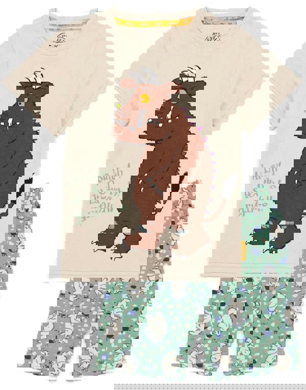 Gruffalo & Friends Boys Multicoloured Multi Character Short Sleeve Short Leg Pyjama Set