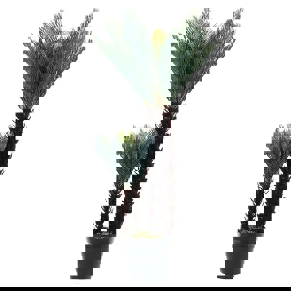 Artificial Double Cycas Decorative Plant in Planter Living and Home