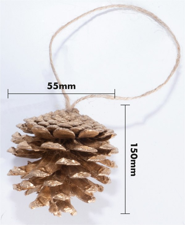 St Helens Gold Hanging Pinecones - Set Of 6