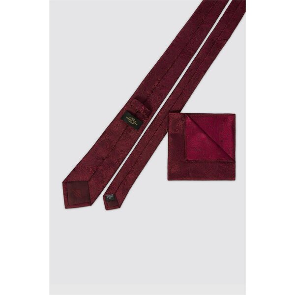 Antique Rogue Burgundy Paisley Tie