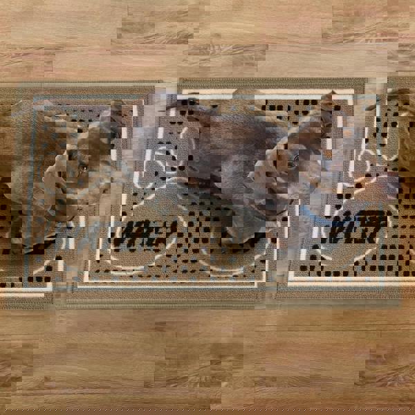 JVL Machine Washable Pet Mat 40×70 cm – Absorbent Indoor Dog & Cat Feeding Mat, Floor Protector for Bowls & Food Area – “Dinner Time” Design