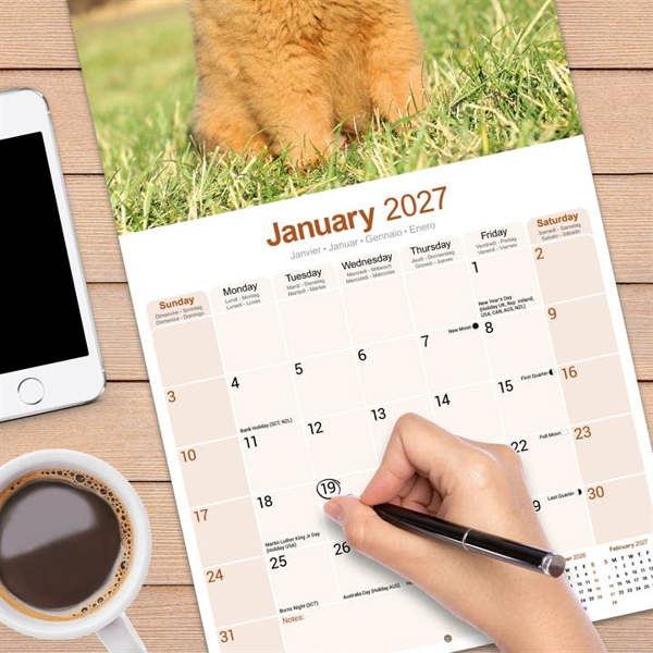 Chow Chow Calendar 2027, Wall Calendars, Month To View, Dogs, Gift
