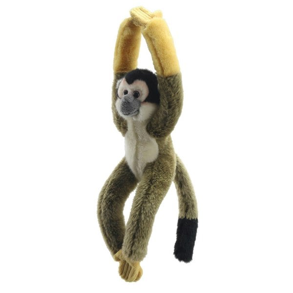 Wilberry Squirrel Monkey - Canopy Climbers