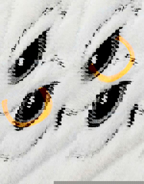 Harry Potter Unisex Kids White Hedwig Bucket Hat (One Size)