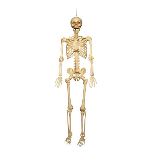 Samuel Alexander Pack of 3 5ft (150cm) Posable Full Body Halloween LED Skeleton Decoration with Movable Joints and LED Eyes