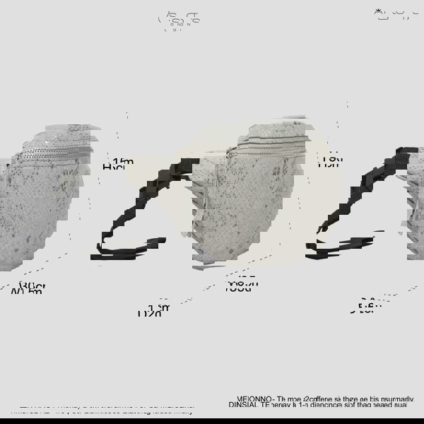 Assots London 'NOAH' Grey Python Snake Leather Bum Belt Bag