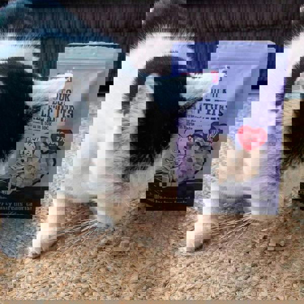 Rosewood Duck Freeze Dried Cat Treats 15g