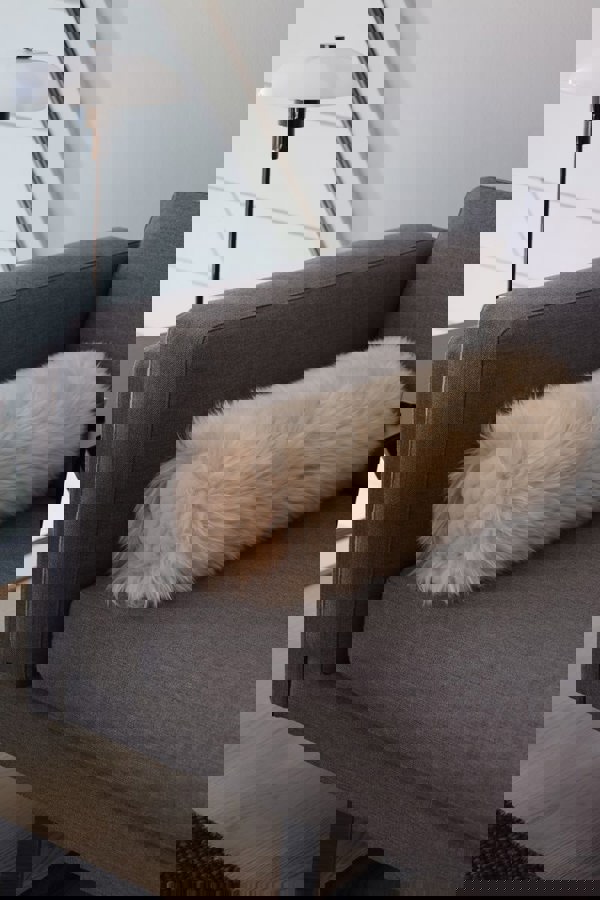 Bolster Cushion | LW