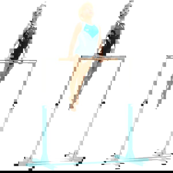 A91-099V00LB
