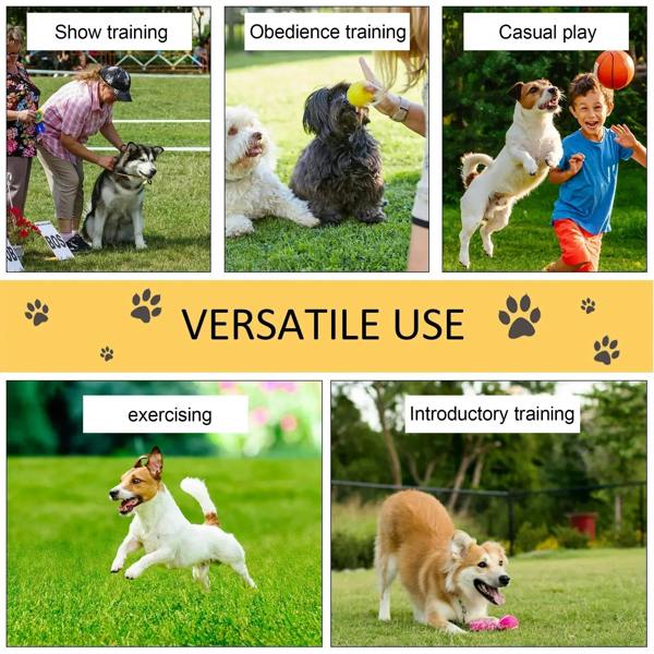 Dog agility training on grass with blue and red pole set for obedience practice
