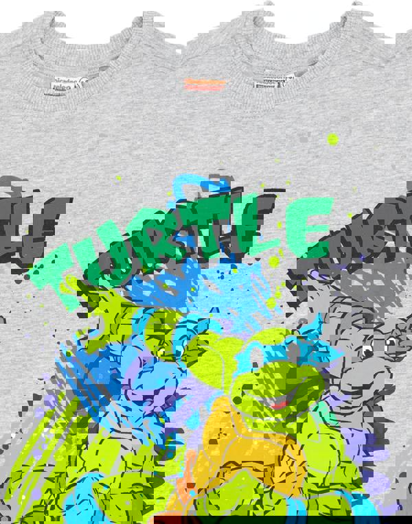 Teenage Mutant Ninja Turtles Boys Multicoloured Multi Character Multi-Pack of 2 Short-Sleeved T-Shirts