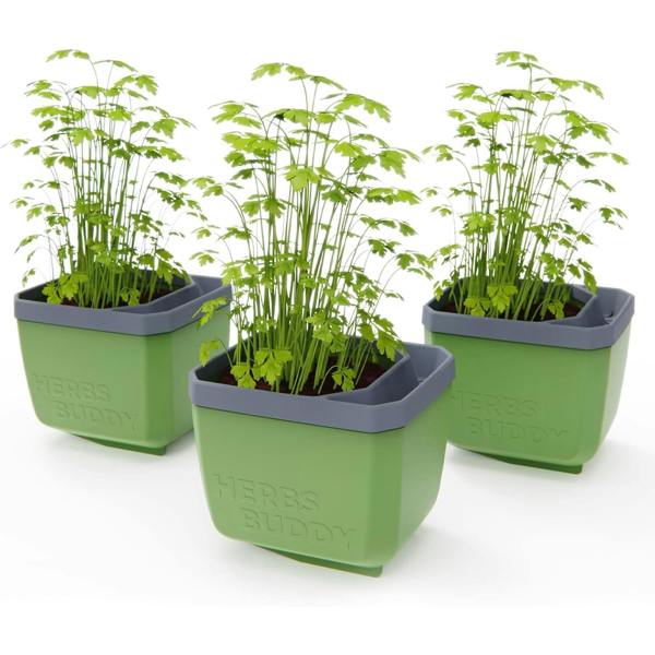HERBS BUDDY herb pot with water reservoir - Dark Green